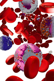 Haematology